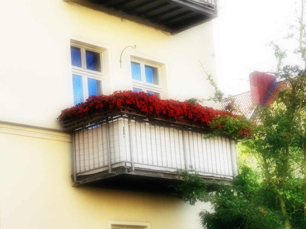Schöne Wohnung im Herzen Babelsberg – Dieselstraße, 14482 Potsdam Babelsberg – Vorschaubild 6