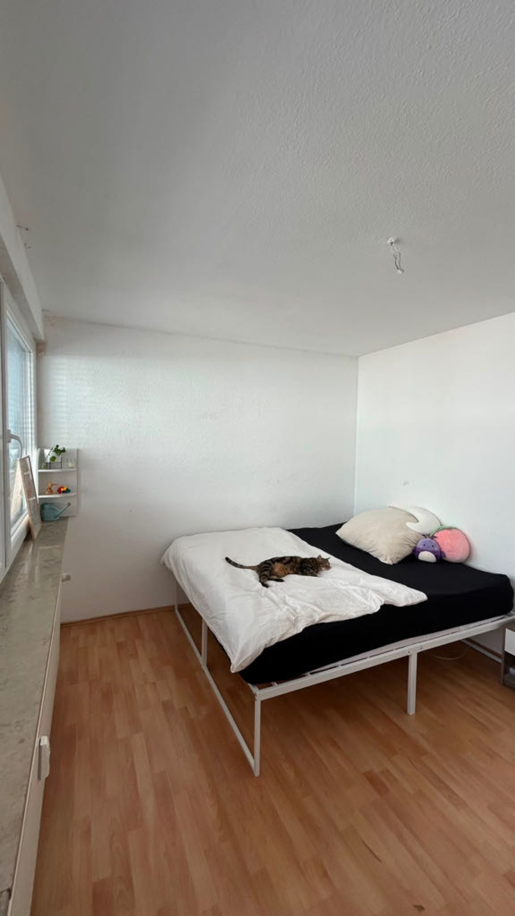 WG-Zimmer Marktplatz Herrnstraße 28 - Zimmer 1