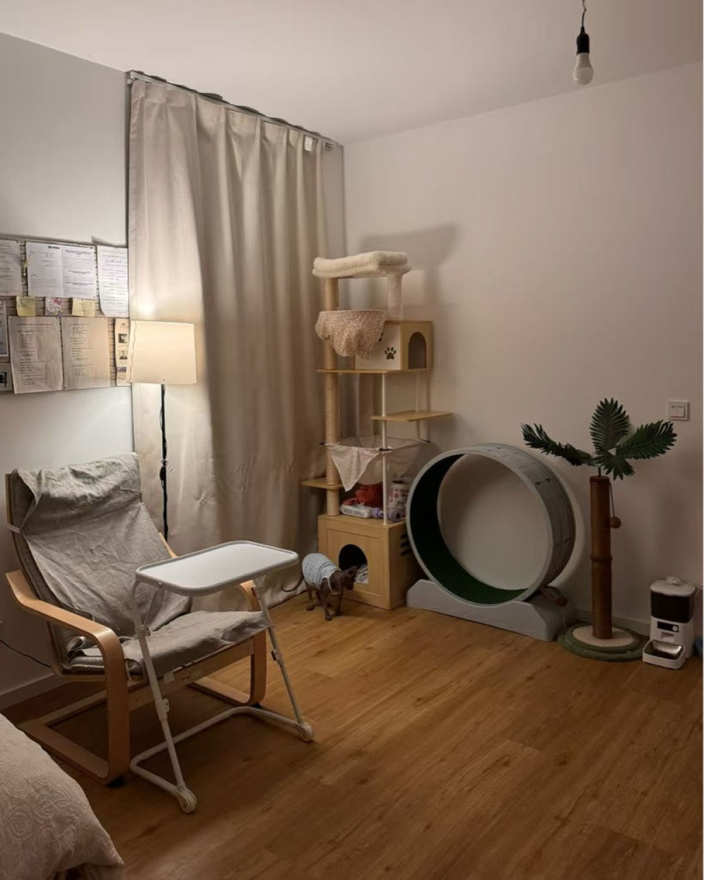 1-Zimmer-Wohnung Friedrichsfelde Allee der Kosmonauten 25A - Bild 2