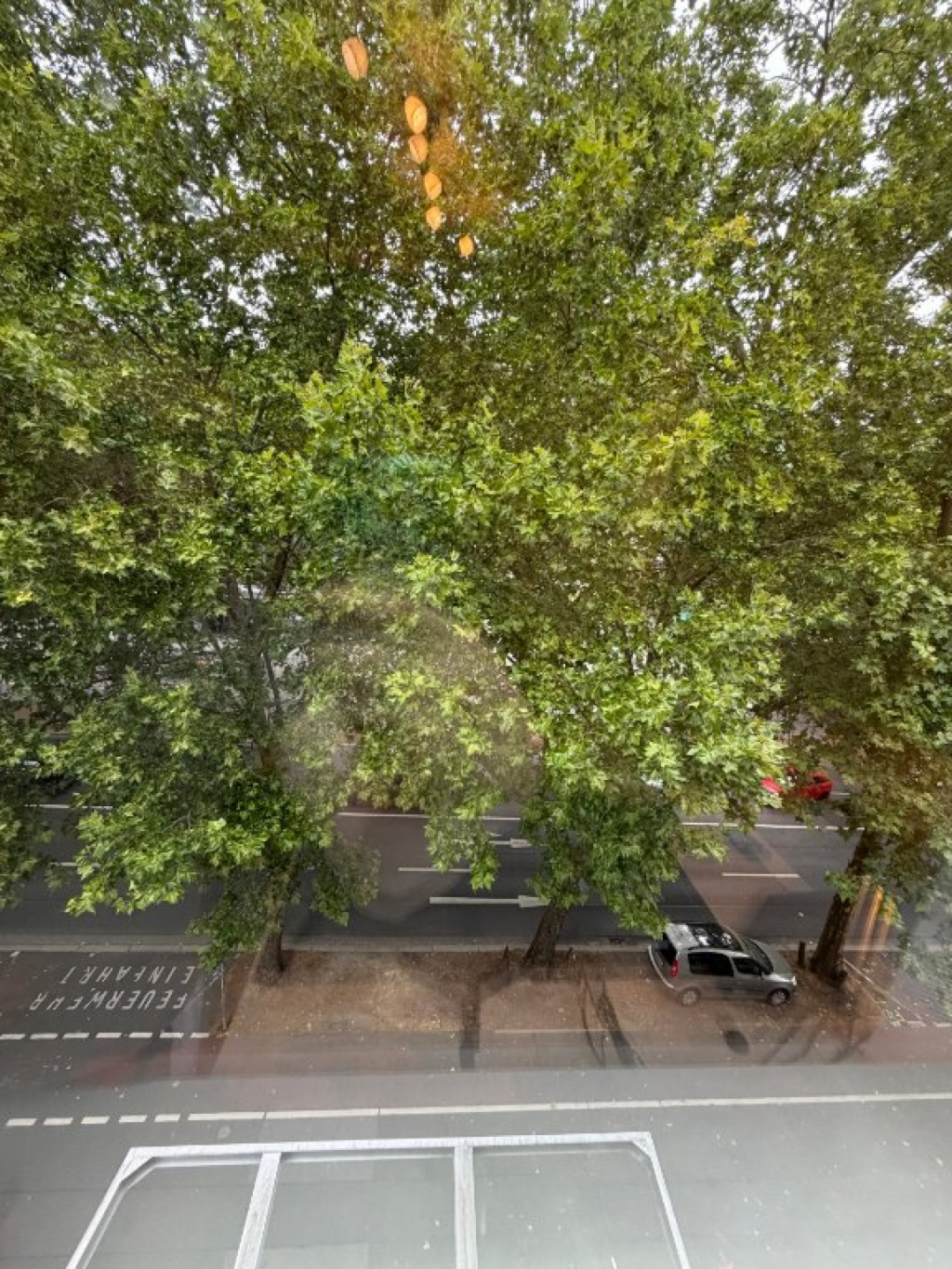Möblierte1,5-Zimmer-Wohnung in Mainz Neustadt – Rheinnähe, 3 m Deckenhöhe & Aufzug – Rheinallee, 55118 Mainz Neustadt – Vorschaubild 9