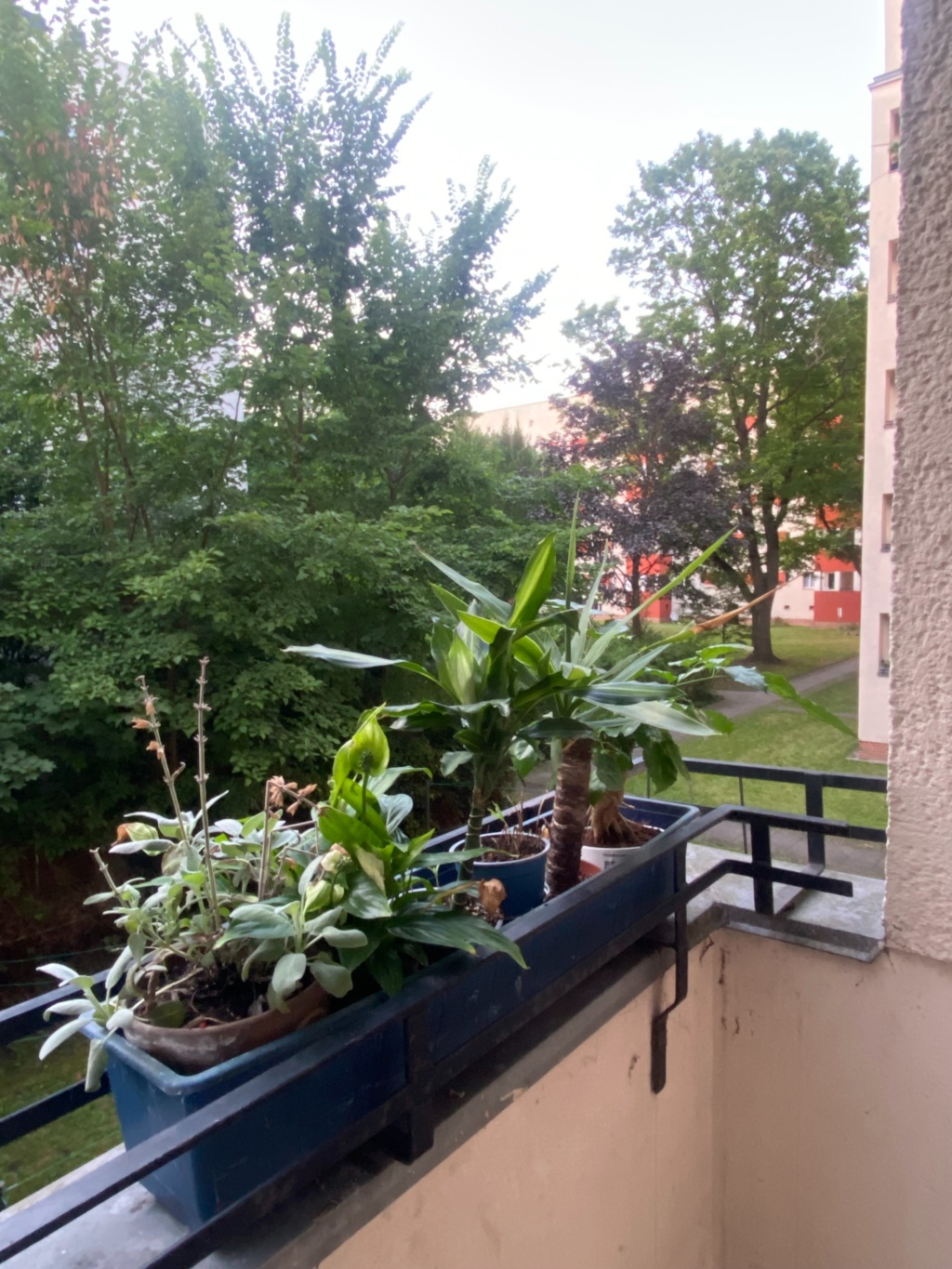 Charming 1.5-Room Apartment Right Next to Volkspark Friedrichshain (Short-Term Sublet) – Heinz-Bartsch-Straße, 10407 Berlin Prenzlauer Berg – Vorschaubild 5