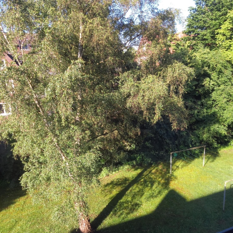 Zwischenmiete in Schwachhausen / Sublet in Schwachhausen – Hauptmann-Böse-Weg, 28213 Bremen Schwachhausen – Vorschaubild 8