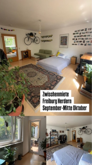Anzeigenbild: großes helles Zimmer in 3er WG