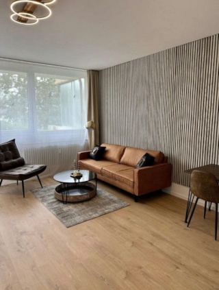 Helles, modern möbliertes Apartment mit Balkon