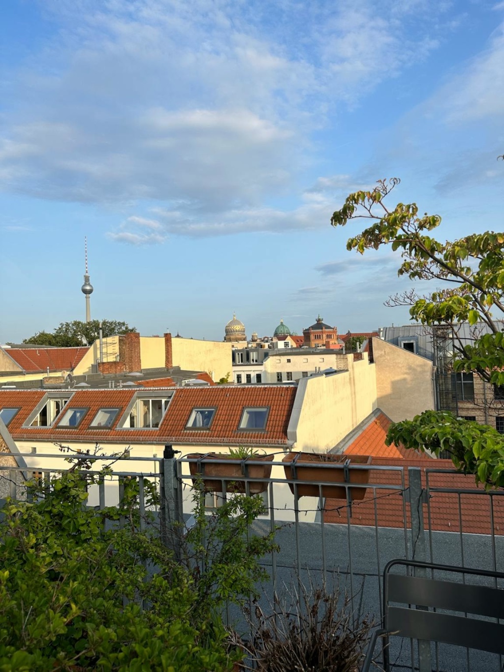 Linienstraße, Berlin – Linienstraße, 10115 Berlin Mitte – Vorschaubild 10