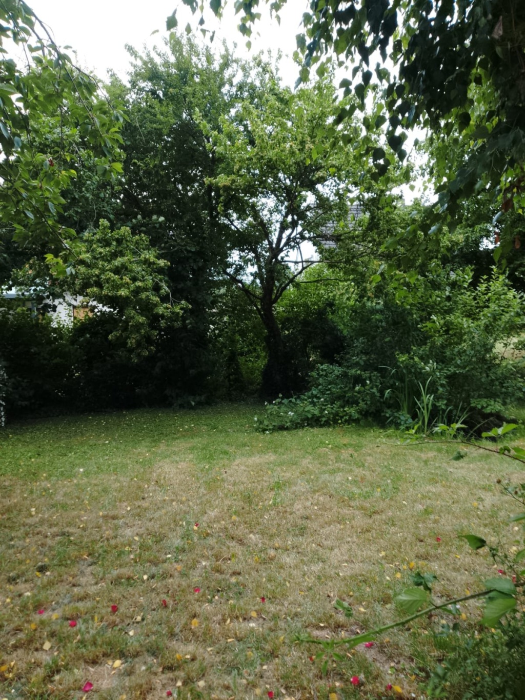 Flatshare Fulda Polarsternstr. 6 - picture 8