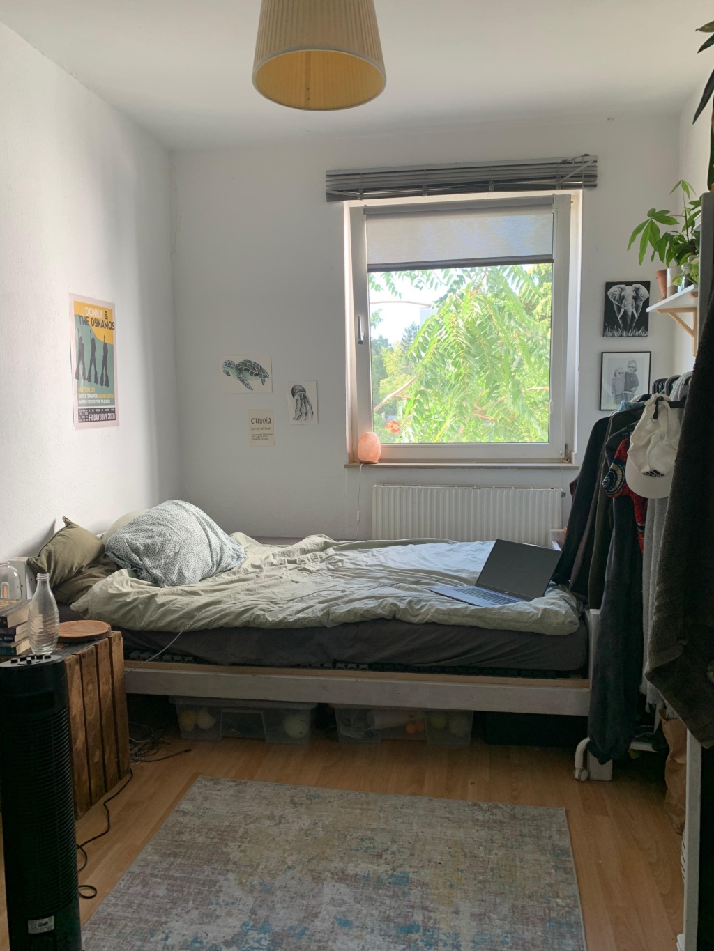 WG-Zimmer Braunsfeld Aachener Straße/ Gürtel - WG Zimmer (noch möbiliert)