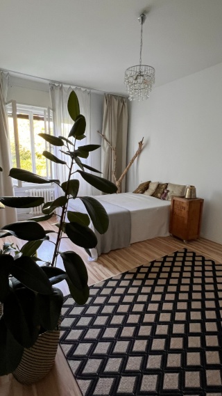 WG Zimmer mit teilweiser Bewohnung von ganzer Wohnung