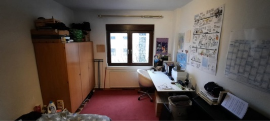 Gemütliches Zimmer (14m2) in entspannter 2er/3er-WG in Heidelberg Handschuhsheim