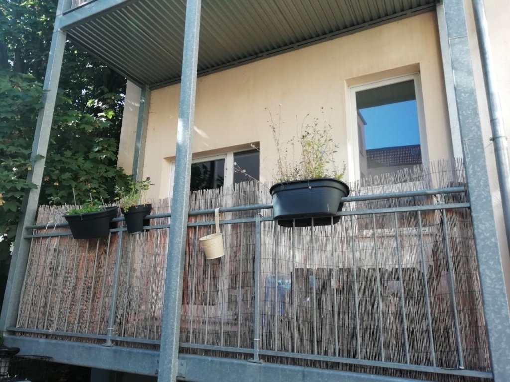 gemütliche 1-Zimmer-Wohnung (mit Einbauküche und Waschmaschine) - im Hinterhof, Nähe Uni – Johannes-Kirsch-Straße, 39106 Magdeburg Alte Neustadt – Vorschaubild 4