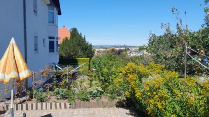 Anzeigenbild: Helles 1Zimmer Appartment mit Gartennutzung