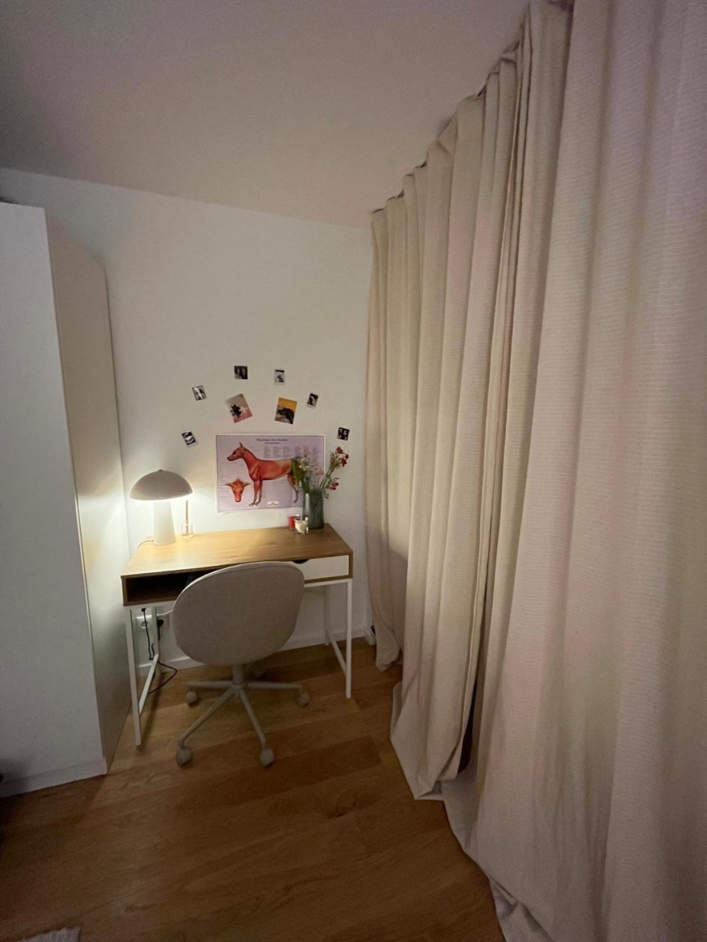 WG-Zimmer Moosach Riesstraße 84 - Bild 4