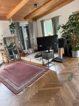 Anzeigenbild: WG Zimmer bitte katzenfreundlich