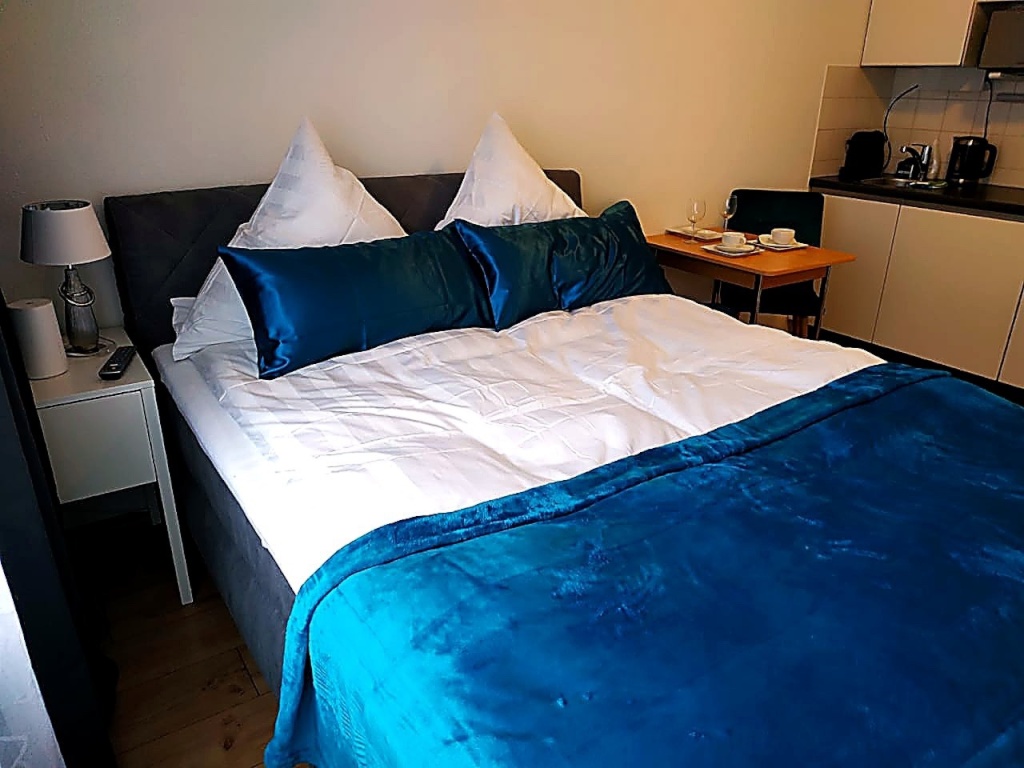 Q7: 1-Zimmer-Apartment Mannheim mit offener Küche – stylisch, zentral, alles fußläufig – 68161 Mannheim Quadrate – Bild 1 von 12
