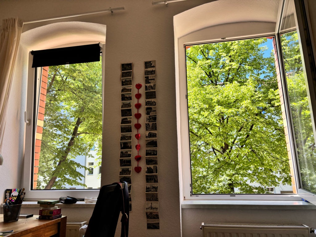 Habitación en WG Johannesvorstadt Liebknechtstraße 42 - Blick aus den Fenstern