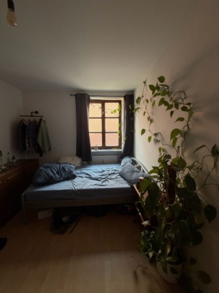Imagen del anuncio: WG-Zimmer in der Landshuter Altstadt