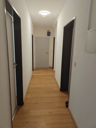 Anzeigenbild: Room in Shared Apartment for Sublet