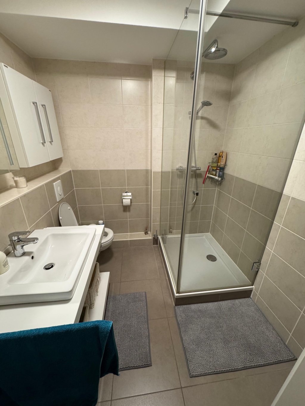 60 m2 Wohnung in Regensburg – befristet September bis Februar – Alfons-Auer-Straße, 93053 Regensburg Galgenberg – Vorschaubild 8