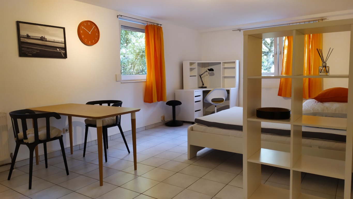1-Zimmer-Apartment mit Küchenzeile