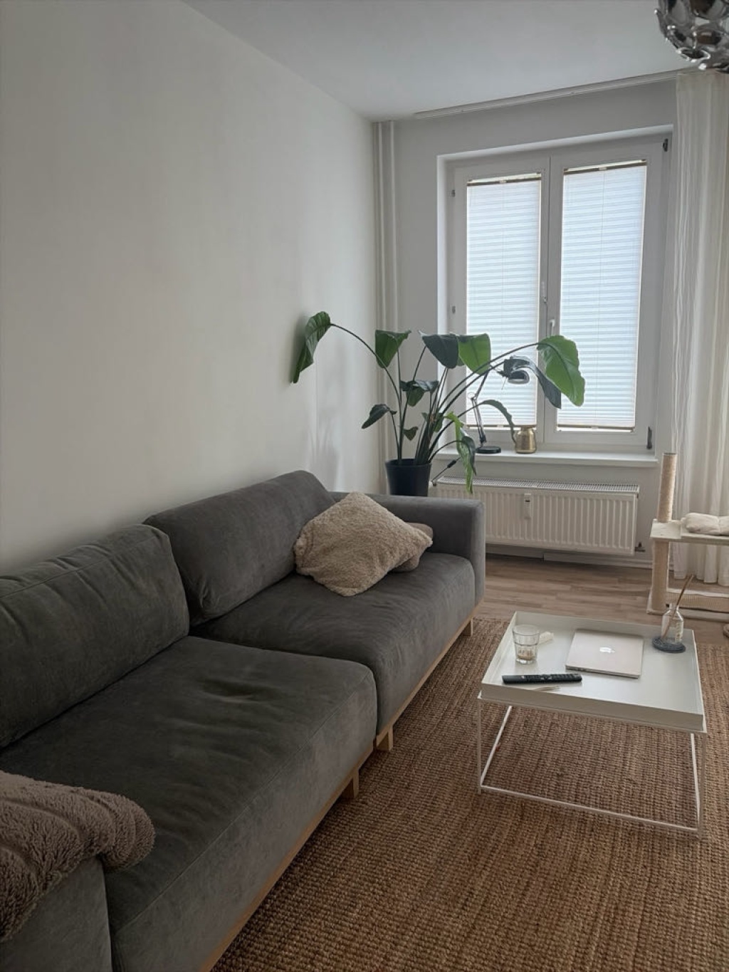 Wohnung St. Pauli Sternschanze - Bild 1