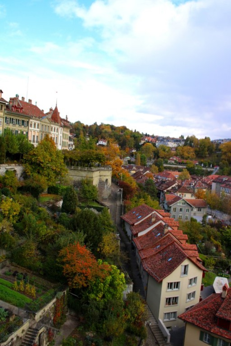 Anzeigenbild: Wohnung in Siegen gesucht