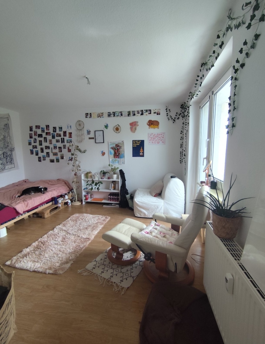 Untermiete + Dogsitting 25.09. - 25.10.26 Südvorstadt