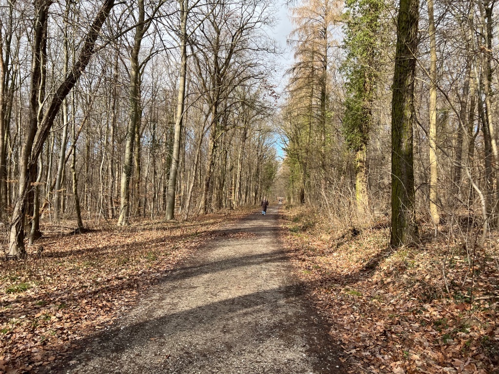 Schöne 3-Zimmer-Wohnung am Hildesheimer Wald bis 31.07.2027🌲 – Unter den Eichen, 31139 Hildesheim Hildesheimer Wald – Vorschaubild 10