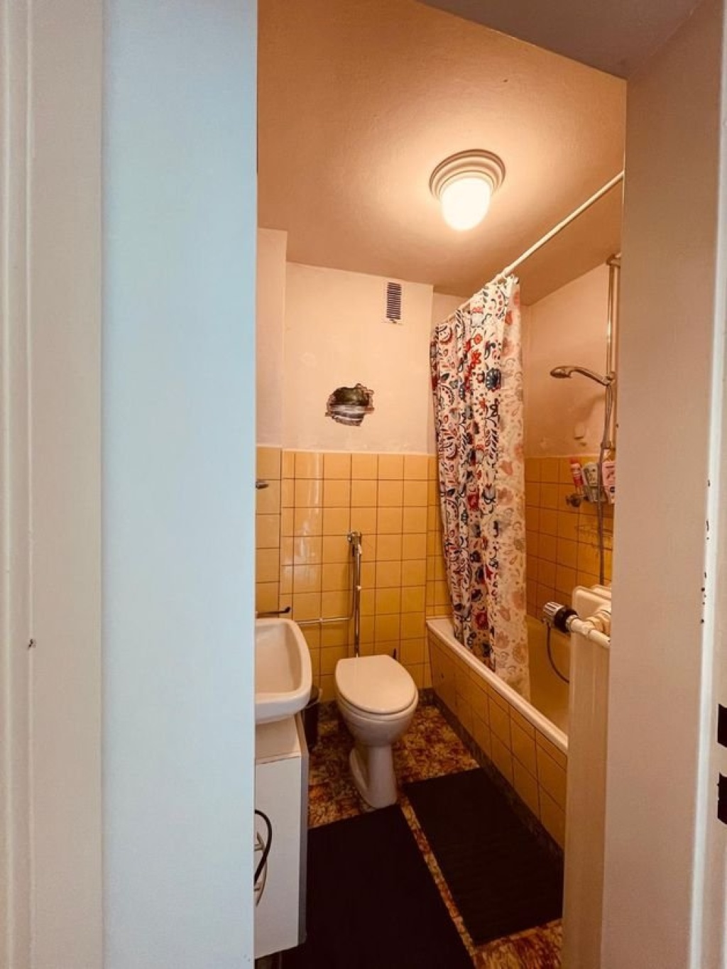 2er WG 2-ZKDB Koblenz Metternich nähe "Uni" und Stadt Koblenz an Studentinnen – bekannt, 56072 Koblenz Metternich – Vorschaubild 14