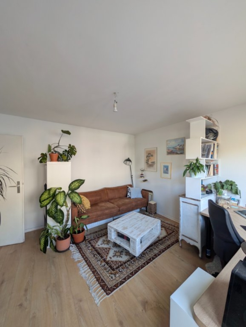 Medizinstudent*innen als Nachmieter gesucht - 54qm 2 Zimmer Wohnung in Poppelsdorf – Reuterstraße, 53113 Bonn Poppelsdorf – Vorschaubild 3