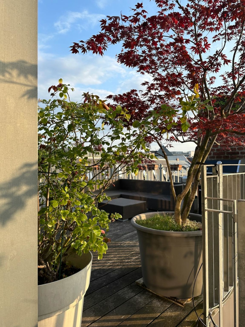 Linienstraße, Berlin – Linienstraße, 10115 Berlin Mitte – Vorschaubild 8