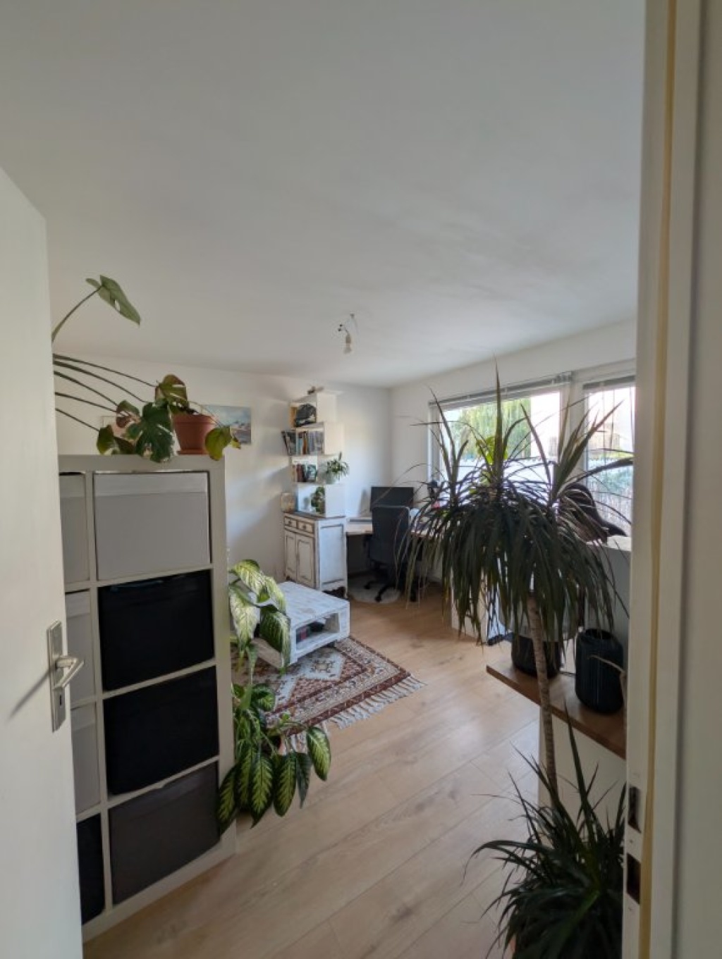 Medizinstudent*innen als Nachmieter gesucht - 54qm 2 Zimmer Wohnung in Poppelsdorf