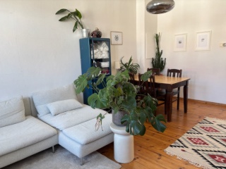 Bright furnished flat in Prenzlauer Berg — photo 1