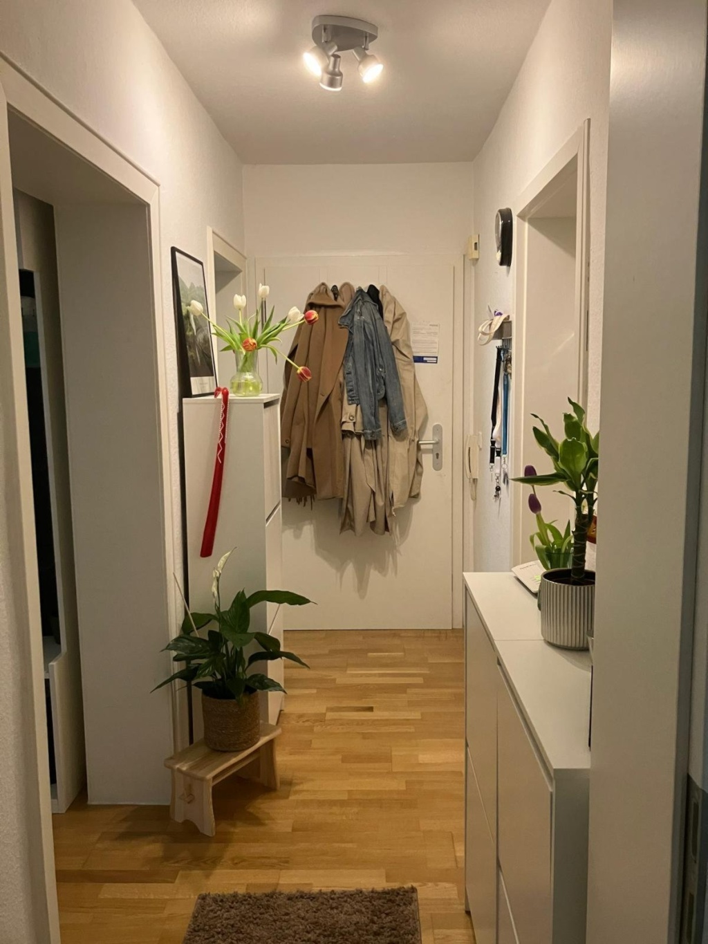 Kurzaufenthalt in möbilierter WG-/Wohnung in Bonn September/Oktober mit möglicher Verlängerung // Short term apartment opportunity for single rooms or couples/existing WGs – Paul-Clemen-Straße, 53113 Bonn Gronau – Vorschaubild 6