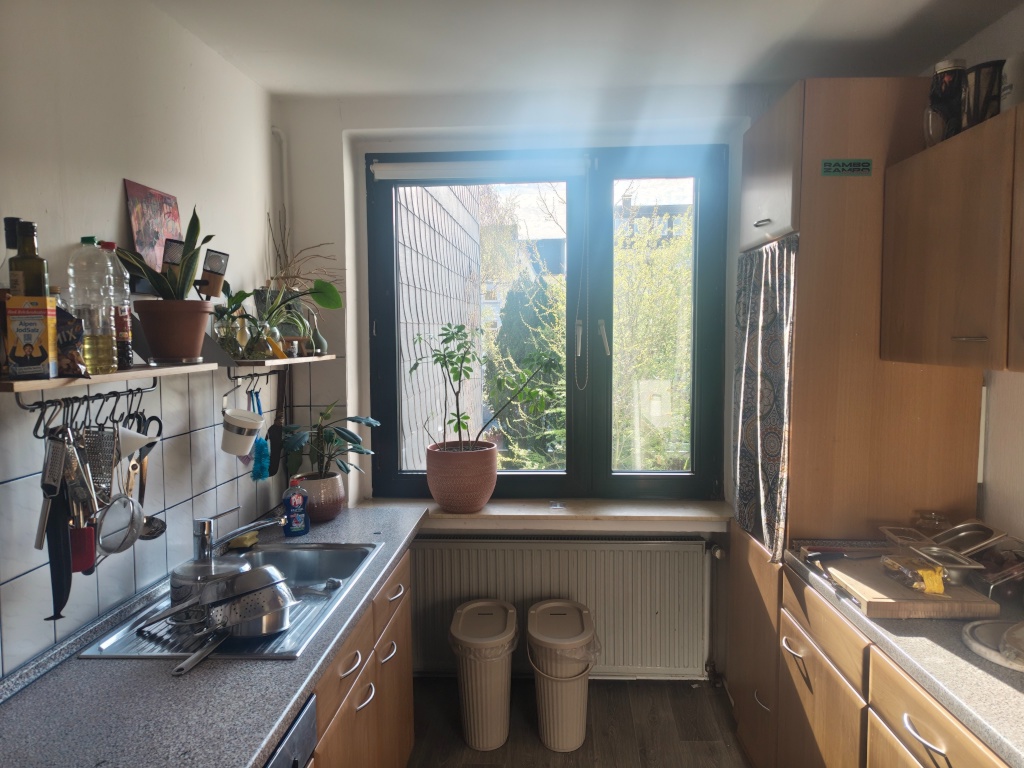 Apartamento Klinkviertel Humboldtstraße - Küche