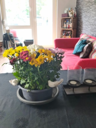 Cozy Urban Oasis - Full Apartment — photo 1