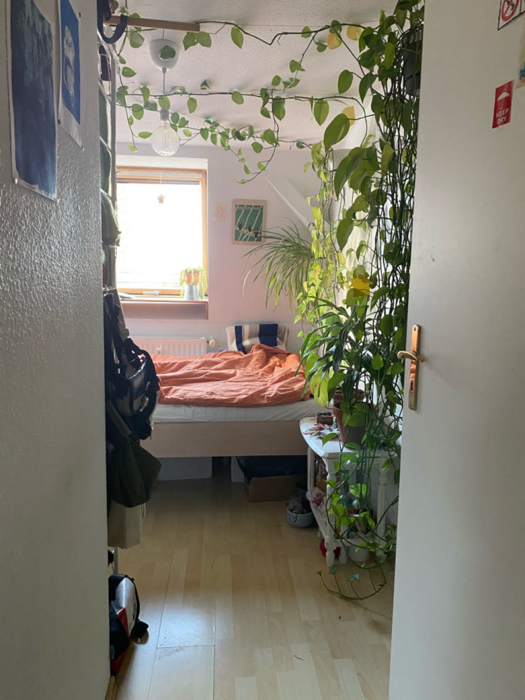 WG-Zimmer Buckau Basedowstr - Bild 4
