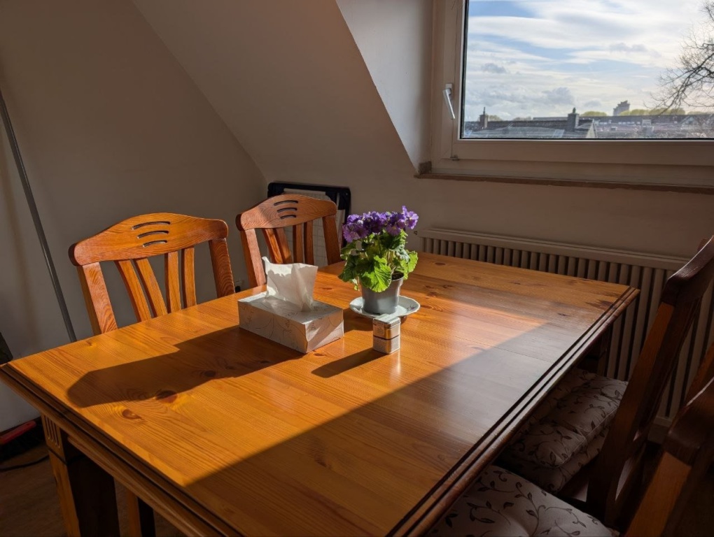 Unbefristete, möblierte 55 m2 Wohnung in Köln-Poll (Bitte lesen!) – Siegburger, 51105 Köln Poll – Vorschaubild 6