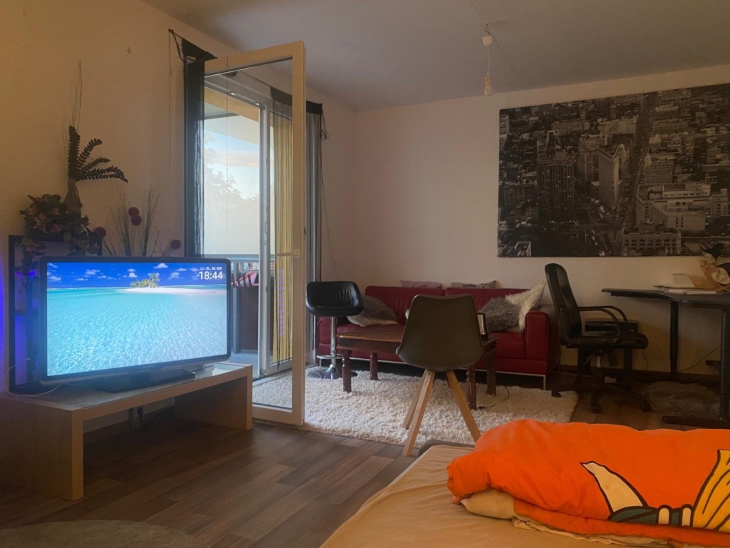 1-Zimmer-Wohnung Ströbitz Hallenser Straße  1 - Bild 4