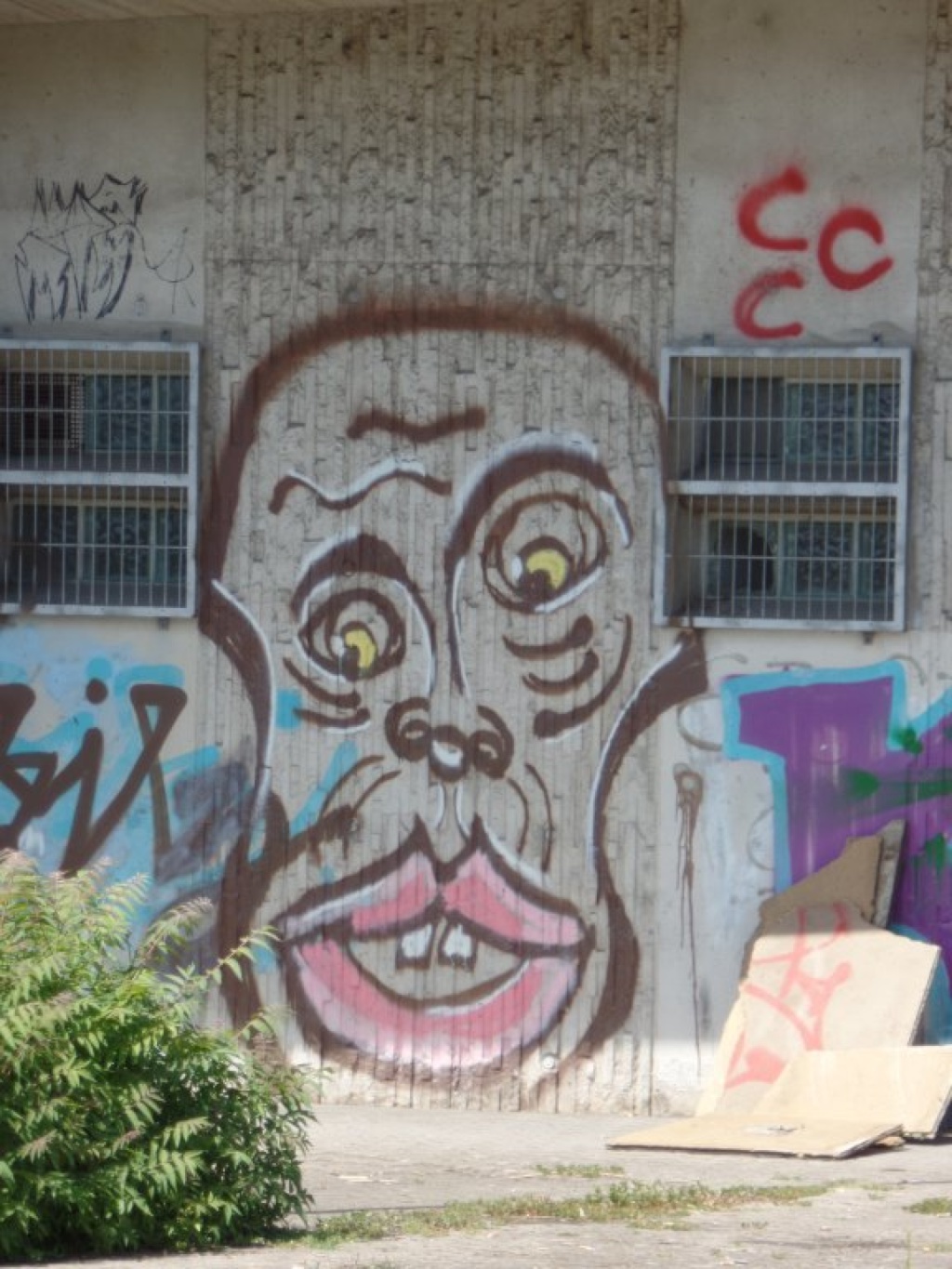 Wohnung Innenstadt Kanalstraße 87 - Graffiti in der Umgebung