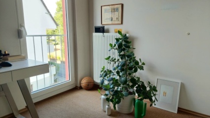 Anzeigenbild