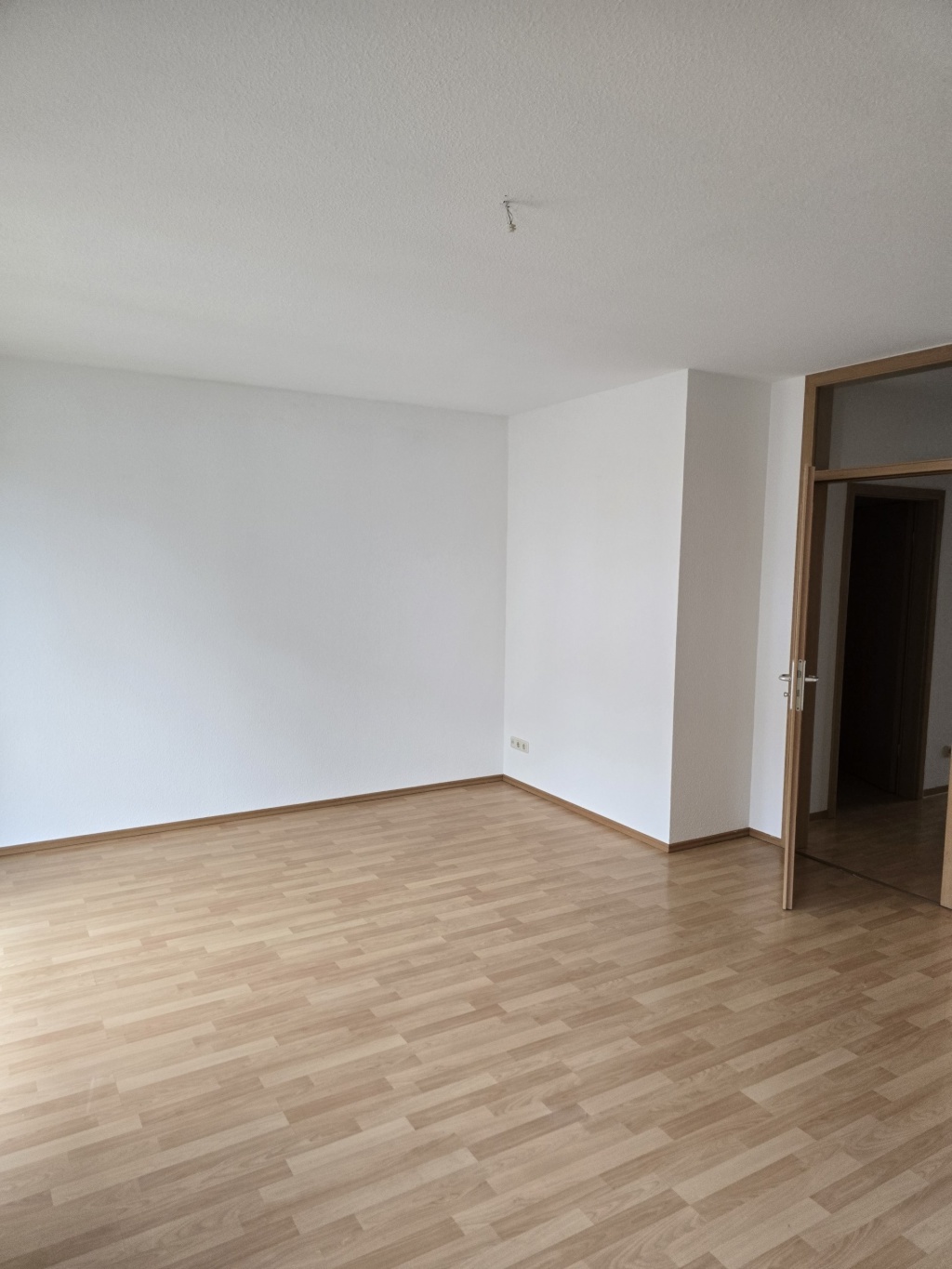 geräumige 2 Raum Wohnung mit Balkon und Parkplatz – Karl-Marx-Platz 3a, 17489 Greifswald Greifswald – Vorschaubild 8