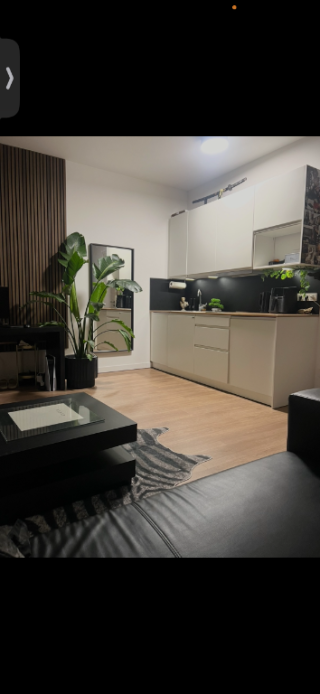 Vollmöbelierte 1,5 Zimmer Wohnung - 2 bis 3 Monate - Ab 27.10. — photo 1