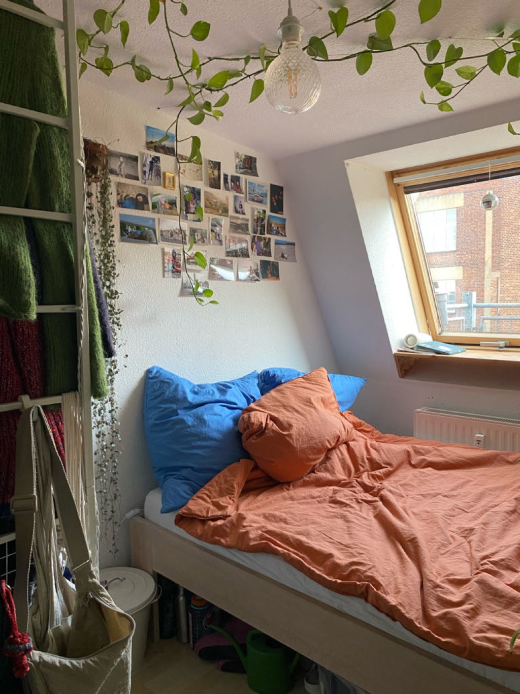 WG-Zimmer Buckau Basedowstr - Bild 3
