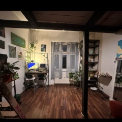 Anzeigenbild: bright 20sqm room in city center with 2 cats