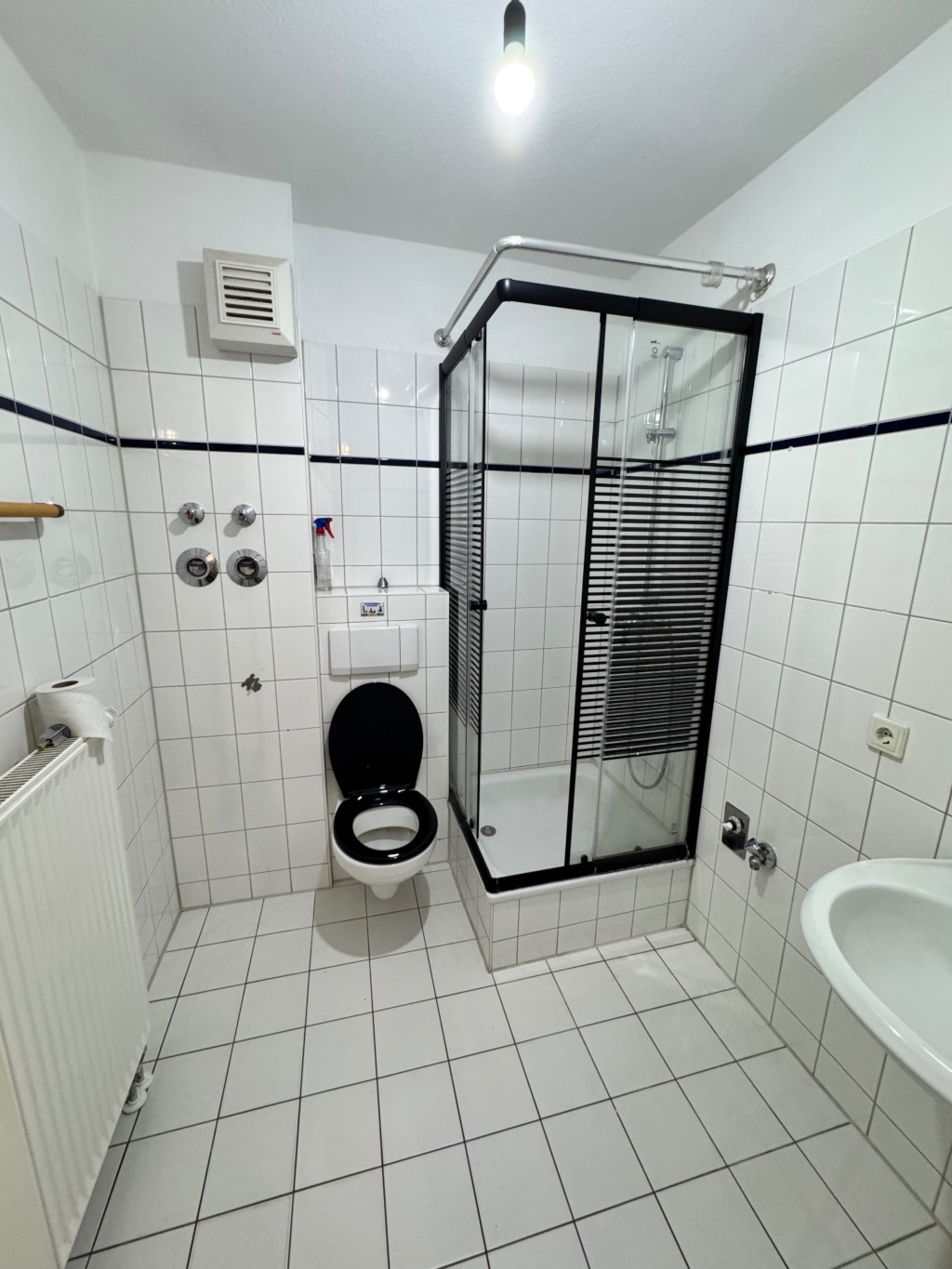 WG-Neugründung in Magdeburg-Sudenburg – 3 Zimmer, Terrasse & neue Küche – Friedenstraße 2, 39112 Magdeburg Sudenburg – Vorschaubild 5