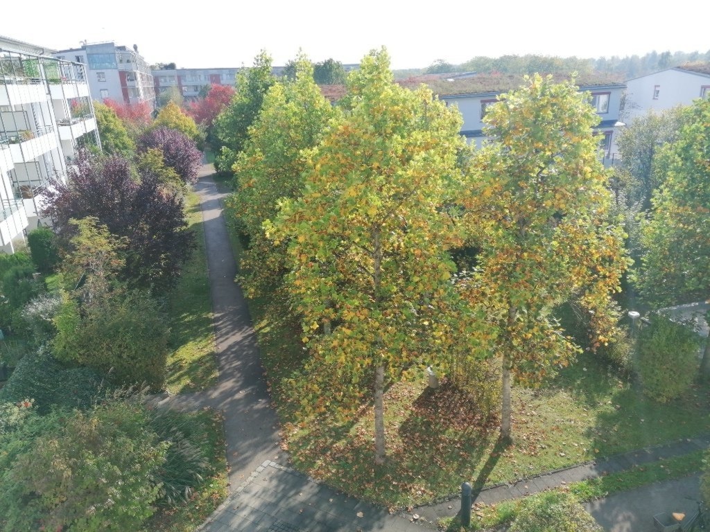 WG-Zimmer Trudering-Riem Lehrer-Wirth-Str. - the view from your window