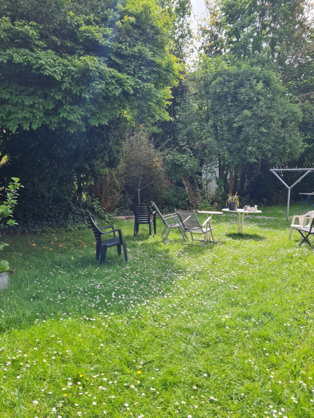 WG-Zimmer Geist Grüner Hang - Bild 5