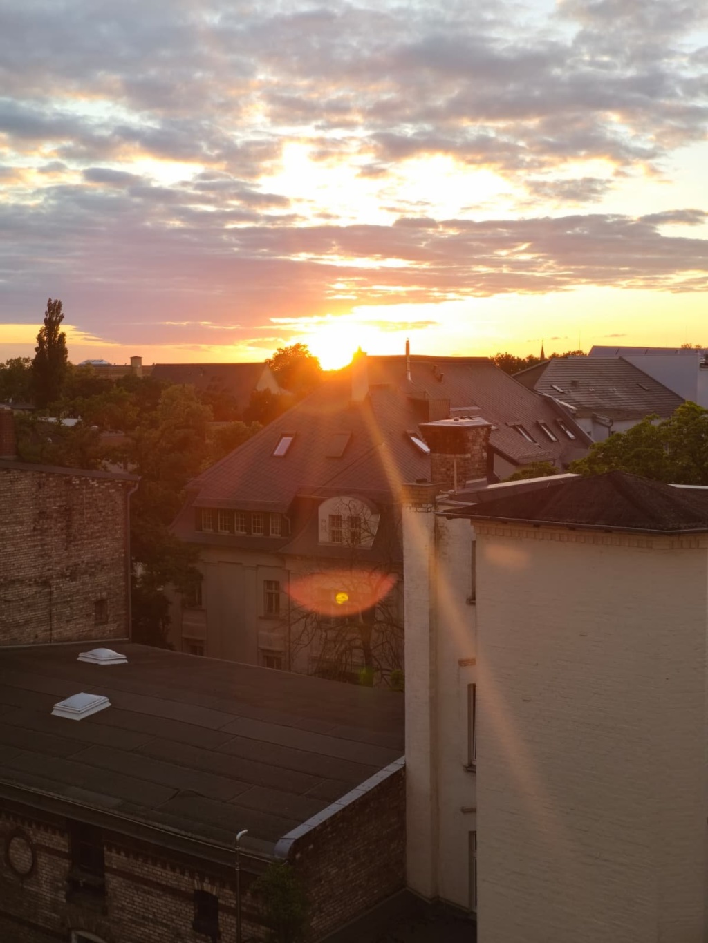 Große und günstige Wohnung am Steintor – Große Steinstraße 35, 6108 Halle (Saale) Ihnenstadt – Vorschaubild 11