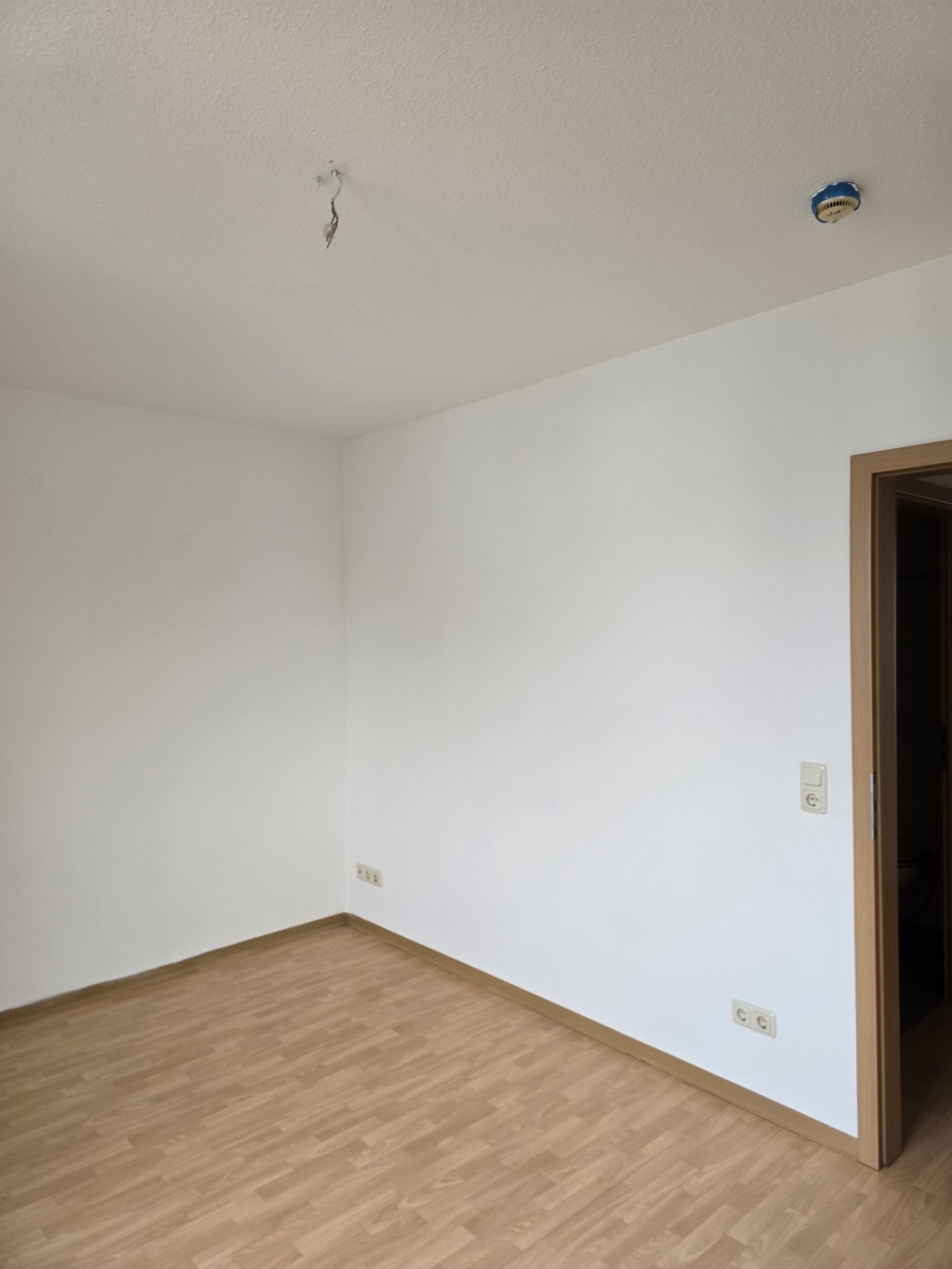 geräumige 2 Raum Wohnung mit Balkon und Parkplatz – Karl-Marx-Platz 3a, 17489 Greifswald Greifswald – Vorschaubild 11