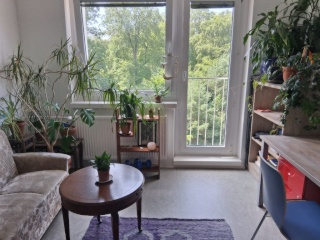 Anzeigenbild: 3er WG mit Wald Blick